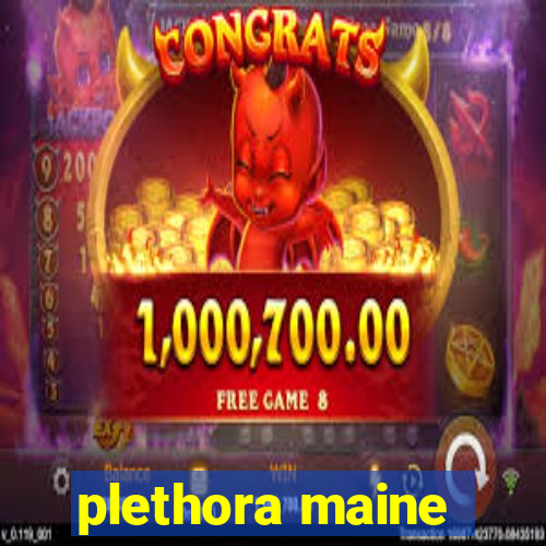 plethora maine